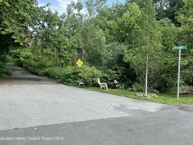 36 Rodney St, Kingston, NY 12401 - view of street