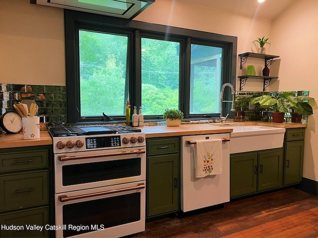 36 Rodney St, Kingston, NY 12401 - kitchen featuring range with two ovens, dishwasher, green cabinets, and healthy amount of natural light