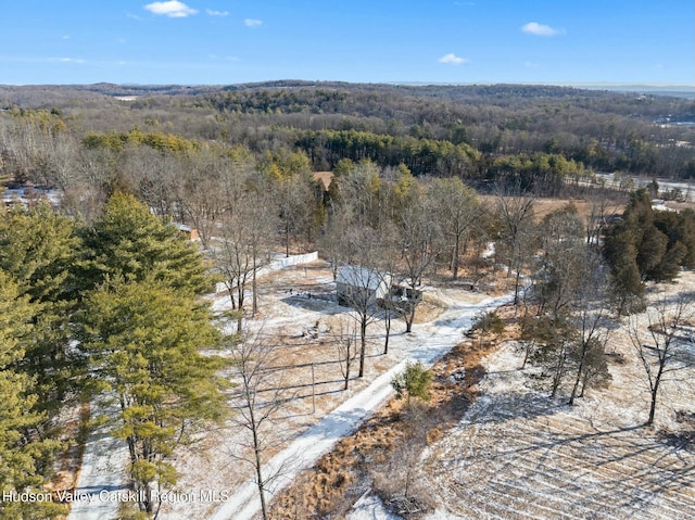 1920 Old Kings Hwy, Saugerties, NY 12477 - aerial view featuring a view of trees