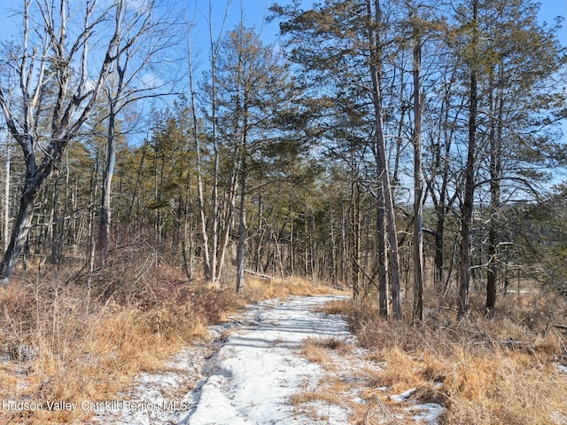 1920 Old Kings Hwy, Saugerties, NY 12477 - view of road featuring a forest view