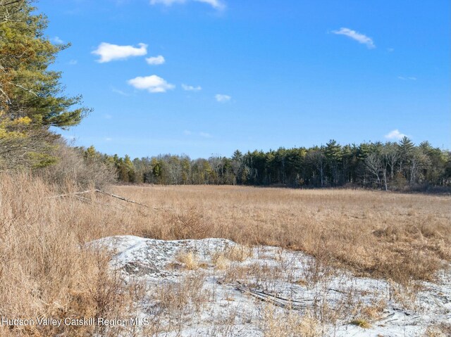 1920 Old Kings Hwy, Saugerties, NY 12477 - view of landscape featuring a view of trees