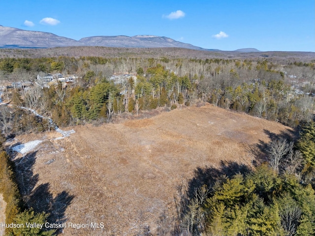 1920 Old Kings Hwy, Saugerties, NY 12477 - mountain view featuring a wooded view