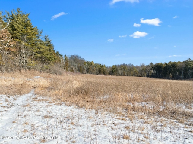 1920 Old Kings Hwy, Saugerties, NY 12477 - view of nature with a view of trees