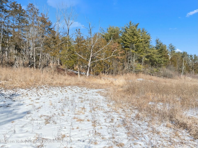 1920 Old Kings Hwy, Saugerties, NY 12477 - view of snow covered land