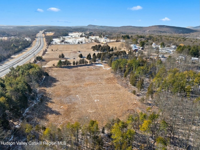 1920 Old Kings Hwy, Saugerties, NY 12477 - drone / aerial view with a mountain view