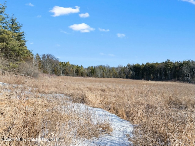 1920 Old Kings Hwy, Saugerties, NY 12477 - view of local wilderness with a forest view