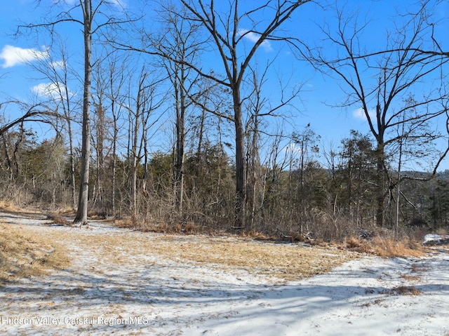 1920 Old Kings Hwy, Saugerties, NY 12477 - view of road with a view of trees