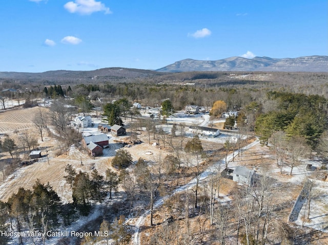 1920 Old Kings Hwy, Saugerties, NY 12477 - drone / aerial view with a mountain view