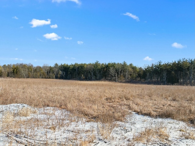 1920 Old Kings Hwy, Saugerties, NY 12477 - view of local wilderness with a view of trees and a rural view