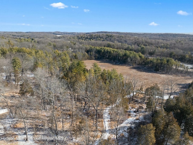 1920 Old Kings Hwy, Saugerties, NY 12477 - aerial view with a wooded view