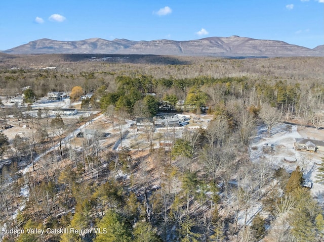 1920 Old Kings Hwy, Saugerties, NY 12477 - mountain view