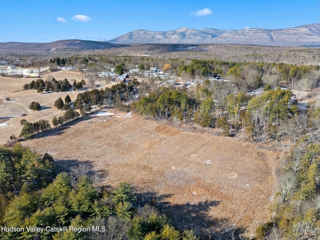 1920 Old Kings Hwy, Saugerties, NY 12477 - bird's eye view with a mountain view