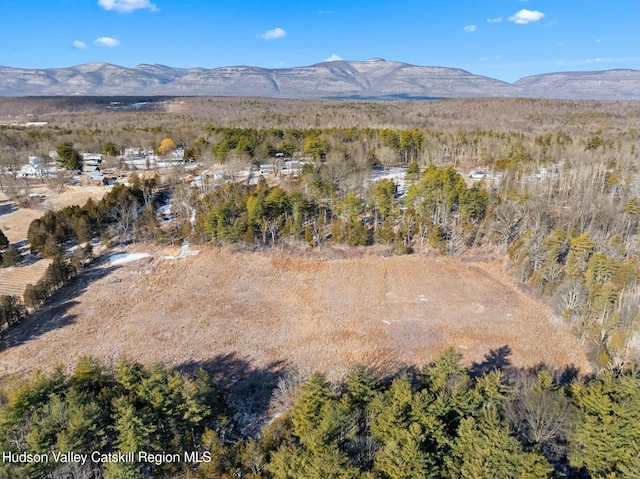 1920 Old Kings Hwy, Saugerties, NY 12477 - aerial view with a mountain view