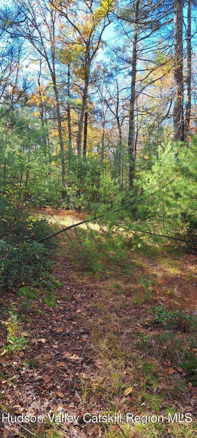 179 Bennette Rd, Napanoch, NY 12458