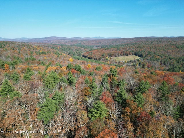 179 Bennette Rd, Napanoch, NY 12458