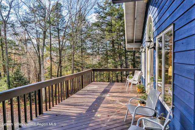 31 Koonan Rd, Windham, NY 12496 - photo 8