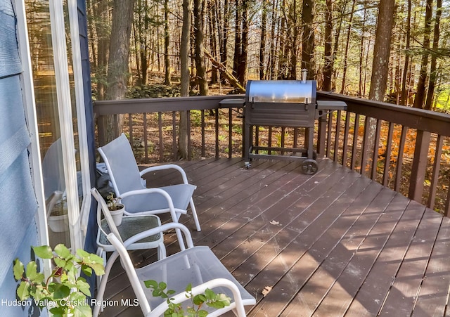 31 Koonan Rd, Windham, NY 12496 - photo 6