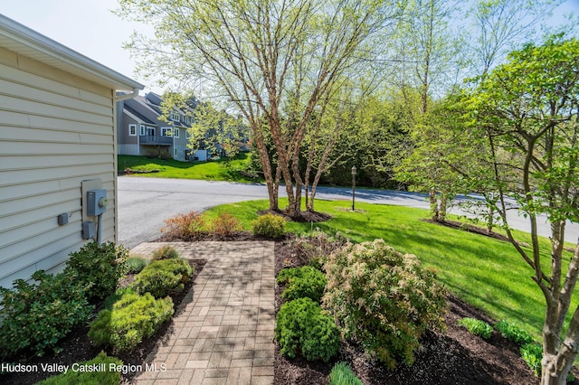 68 Hudson View Ter, Hyde Park, NY 12538 - view of green lawn