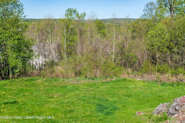 68 Hudson View Ter, Hyde Park, NY 12538 - view of grassy yard with a wooded view
