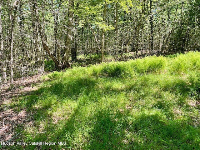 3045 Red Hill Rd, Grahamsville, NY 12740 - photo 10