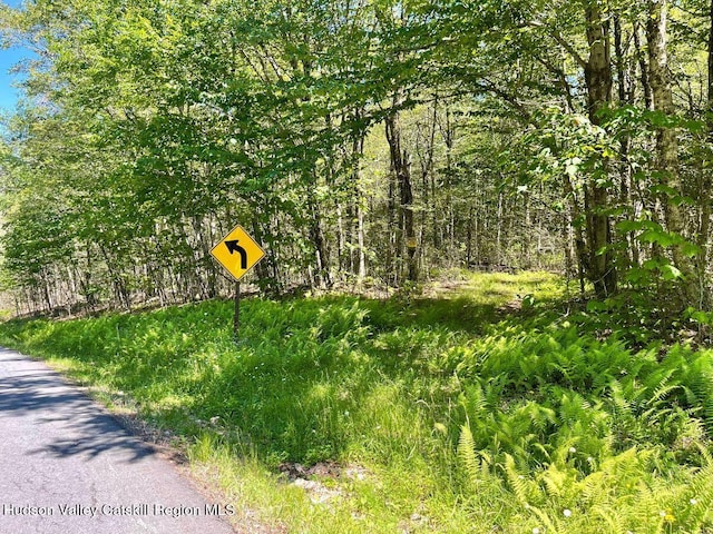 3045 Red Hill Rd, Grahamsville, NY 12740 - photo 2