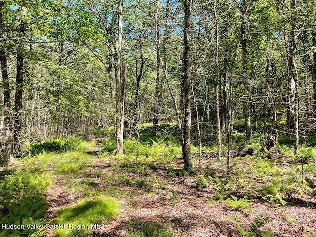 3045 Red Hill Rd, Grahamsville, NY 12740 - photo 7