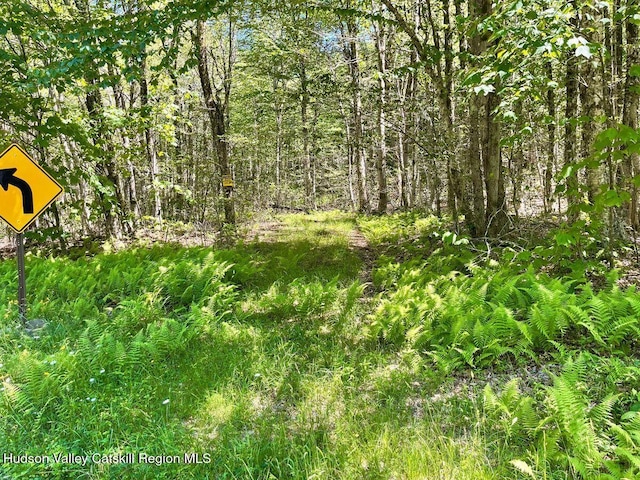 3045 Red Hill Rd, Grahamsville, NY 12740 - photo 3
