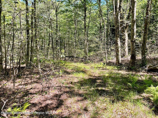 3045 Red Hill Rd, Grahamsville, NY 12740 - photo 4