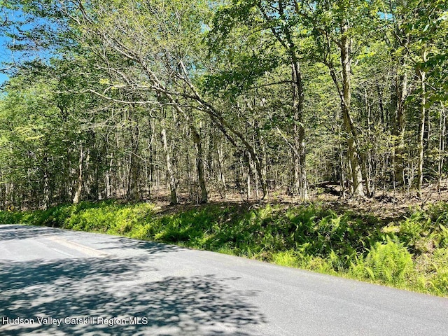 3045 Red Hill Rd, Grahamsville, NY 12740 - photo 13