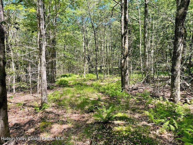 3045 Red Hill Rd, Grahamsville, NY 12740 - photo 5