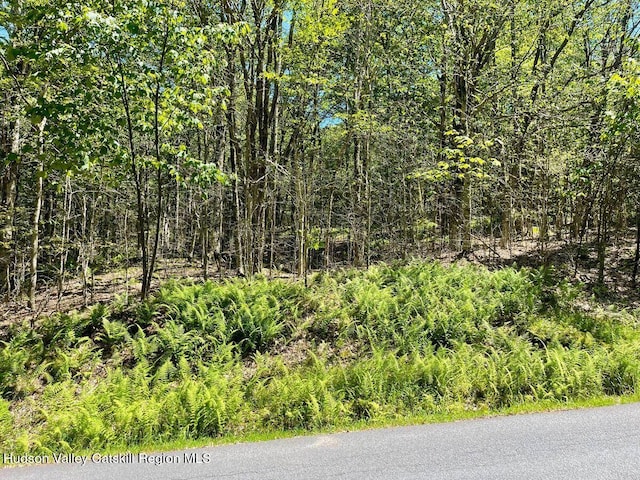 3045 Red Hill Rd, Grahamsville, NY 12740 - photo 14