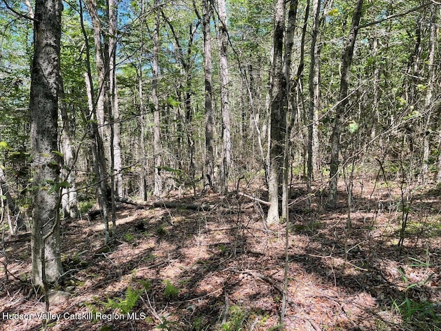 3045 Red Hill Rd, Grahamsville, NY 12740 - photo 11