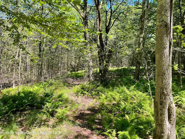 3045 Red Hill Rd, Grahamsville, NY 12740 - photo 1