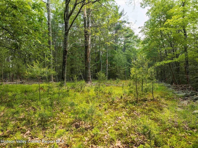 00LOT2 Church Rd, Woodstock, NY 12409 - photo 20