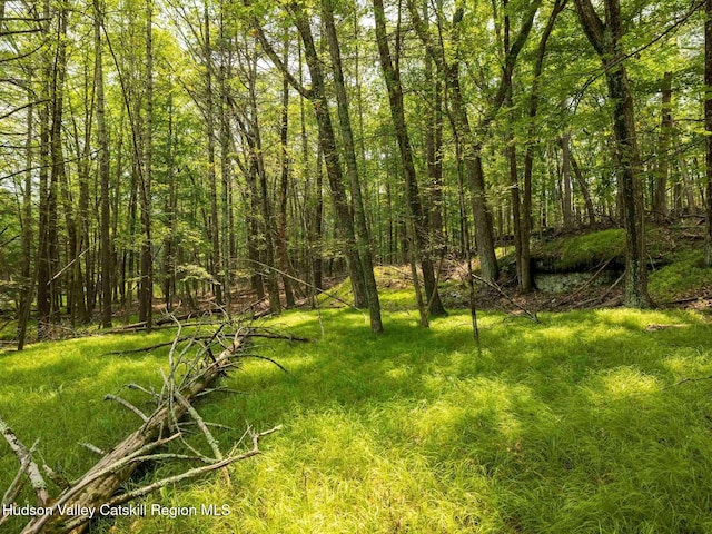 00LOT2 Church Rd, Woodstock, NY 12409 - photo 8