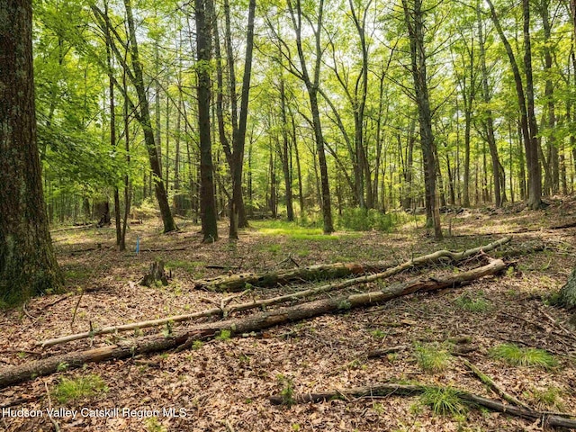 00LOT2 Church Rd, Woodstock, NY 12409 - photo 11