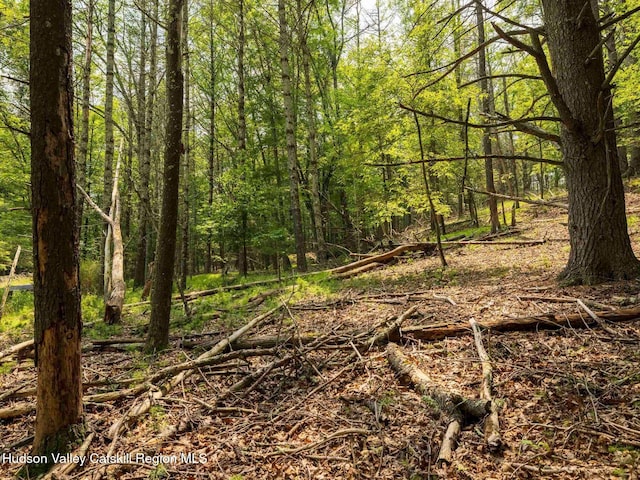 00LOT2 Church Rd, Woodstock, NY 12409 - photo 7