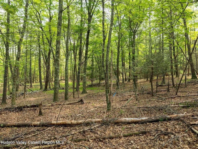 00LOT2 Church Rd, Woodstock, NY 12409 - photo 27