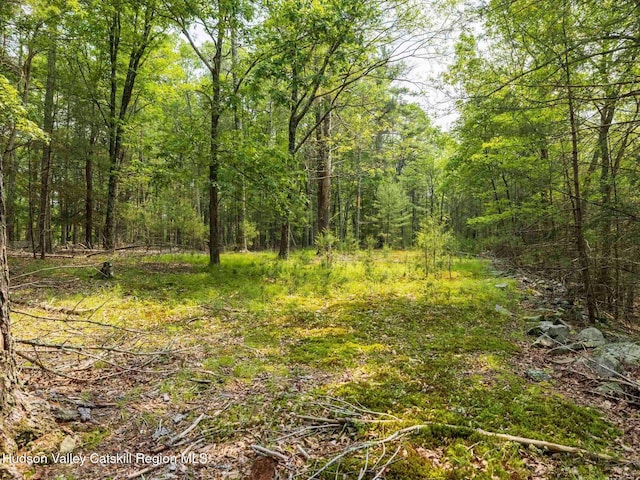 00LOT2 Church Rd, Woodstock, NY 12409 - photo 22