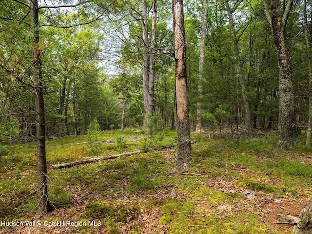 00LOT2 Church Rd, Woodstock, NY 12409 - photo 25