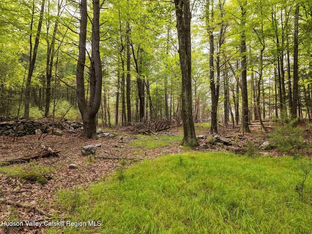 00LOT2 Church Rd, Woodstock, NY 12409 - photo 33