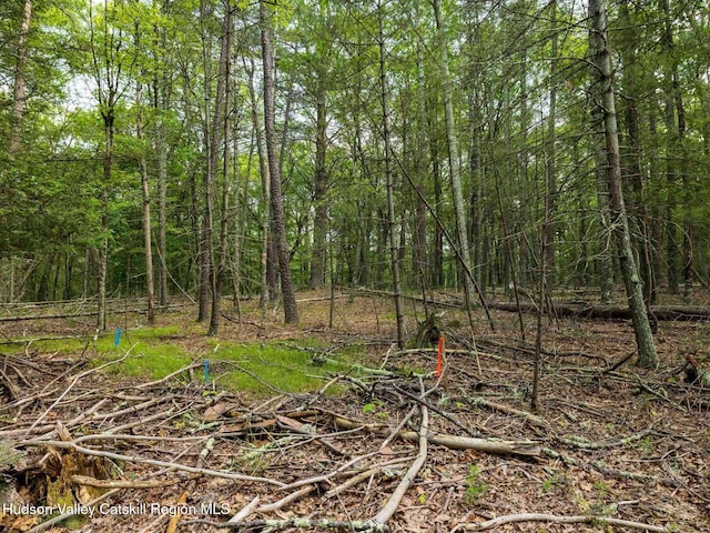 00LOT2 Church Rd, Woodstock, NY 12409 - photo 24