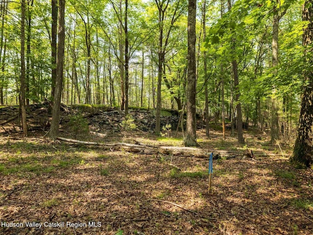 00LOT2 Church Rd, Woodstock, NY 12409 - photo 31