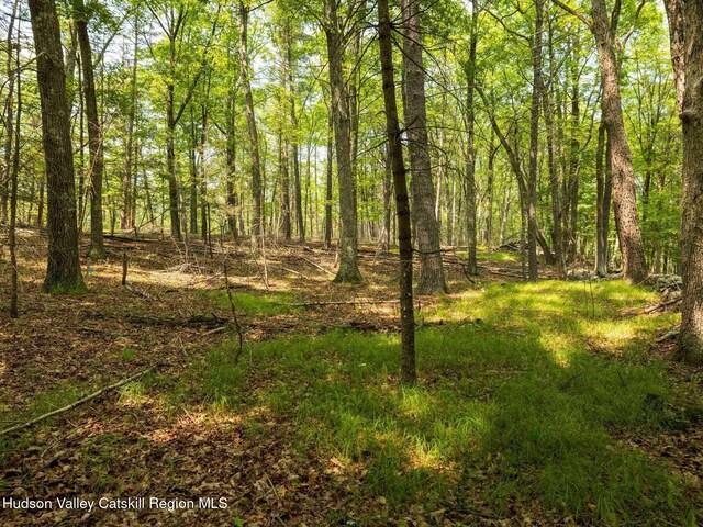 00LOT2 Church Rd, Woodstock, NY 12409 - photo 28