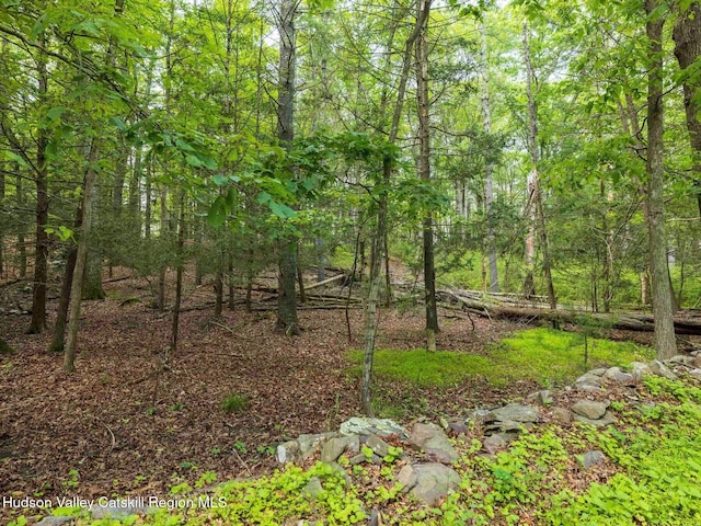 00LOT2 Church Rd, Woodstock, NY 12409 - photo 29