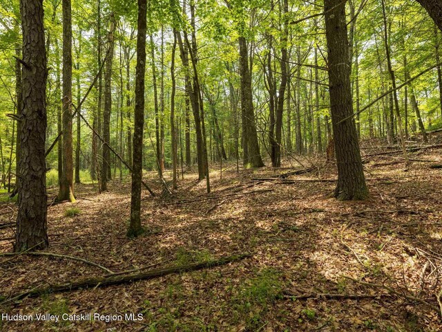 00LOT2 Church Rd, Woodstock, NY 12409 - photo 12