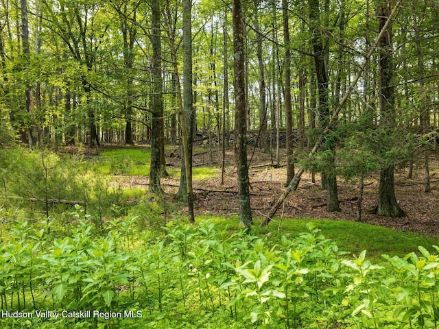 00LOT2 Church Rd, Woodstock, NY 12409 - photo 30