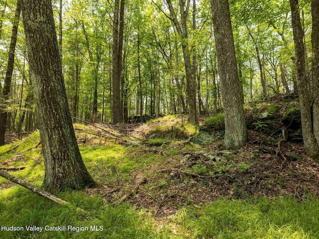 00LOT2 Church Rd, Woodstock, NY 12409 - photo 13