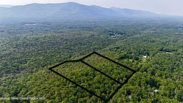 00LOT2 Church Rd, Woodstock, NY 12409 - photo 34