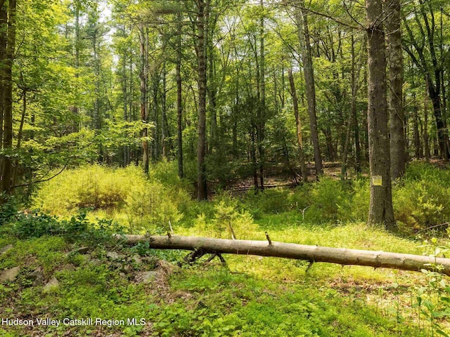 00LOT2 Church Rd, Woodstock, NY 12409 - photo 5